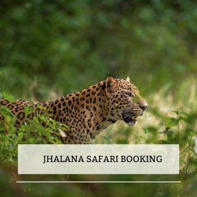 Jhalana Safari booking Image